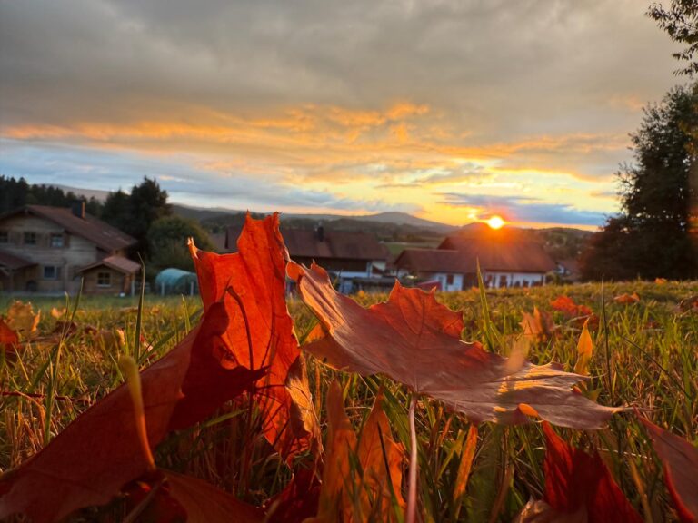 Sonnenuntergang über der Landschaft